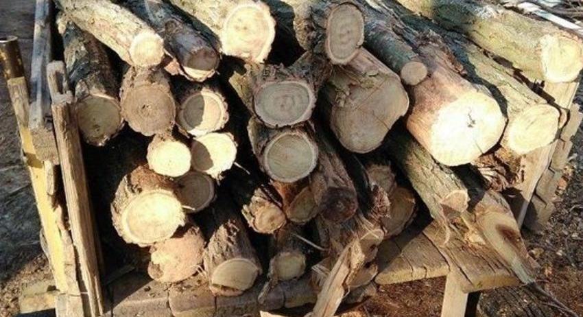 Иззеха 40 кубика незаконни дърва от къщи в Омуртаг