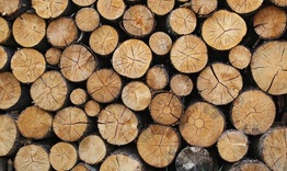 Близо 1500 семейства в област Търговище получиха дърва за огрев  