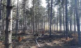 7 горски пожара са регистрирани в Търговищко през 2020г. 