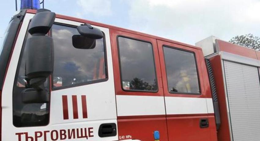 Спасиха от пожар 2000 декара широколистна гора 