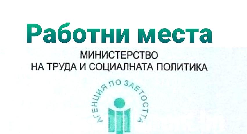 Свободни работни места в област Търговище към 8 март 2021