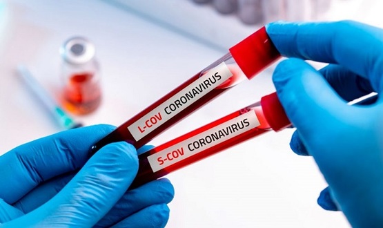 4 случая на COVID-19 в област Търговище