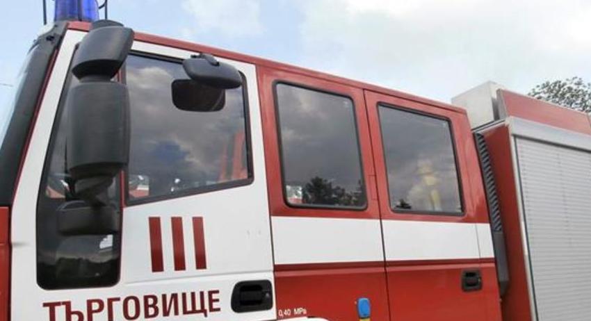 Гасиха пожар до гробищния парк  в Попово 