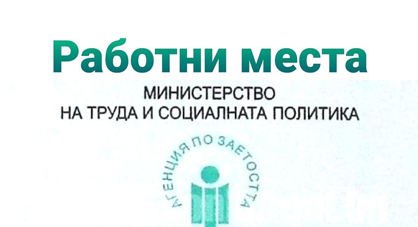 Свободни работни места в област Търговище към 31 май  