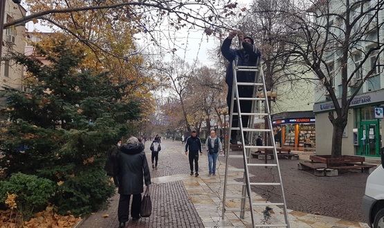Вандали унищожават коледната украса в Търговище