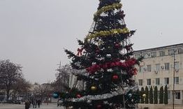Коледната елха в Търговище грейва на 3 декември