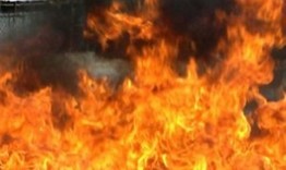 Навес изгоря при пожар в село Голямо Ново
