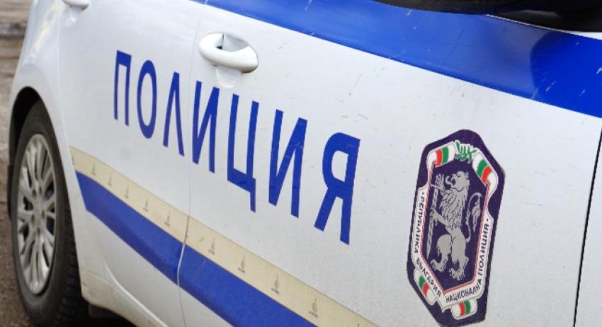 Арестуваха мъж от Търговище за убийство на куче 