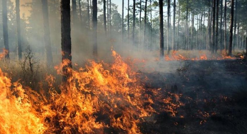 Две сгради са спасени от пожар в село Ковачевци 