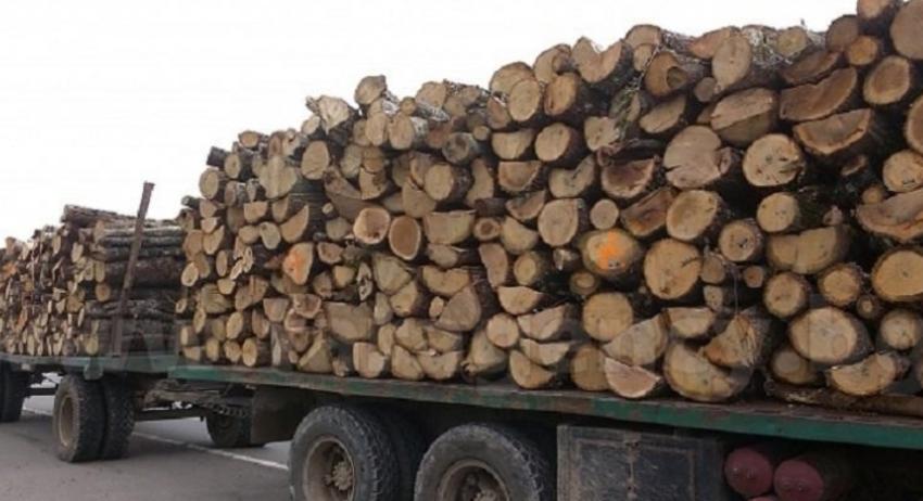 Задържаха камион с 50 кубика дърва с неизрядни документи 