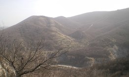 Почистват защитените зони "Преславска планина" и "Овчарово"