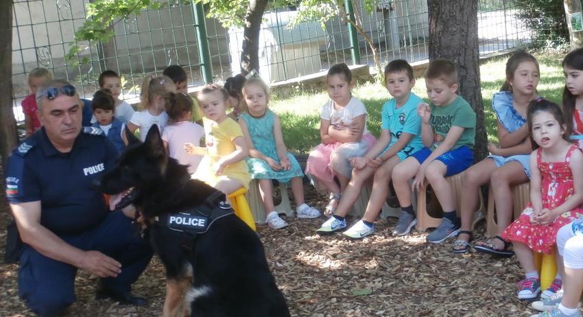Полицейско следово куче демонстрира уменията си пред над 50  деца от детска градина в Търговище