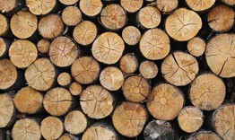 48 кубика дърва без документи заловиха близо до Омуртаг 