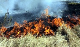 Пожари в сухи треви 