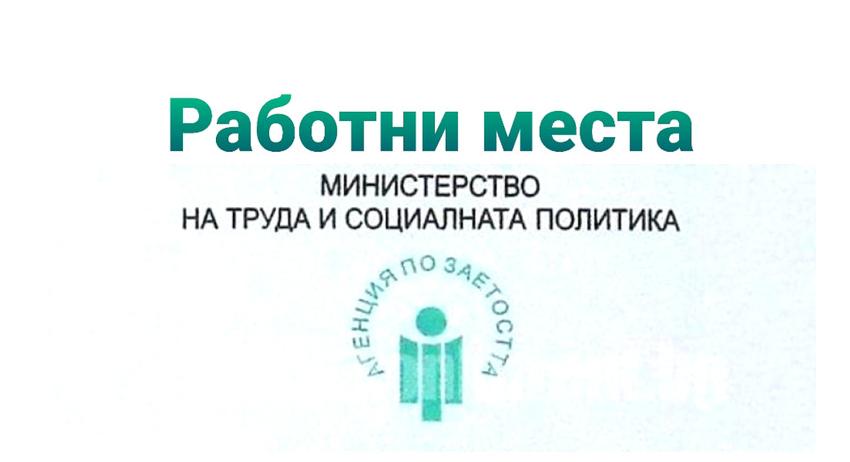 Свободни работни места в област Търговище към 29 август 