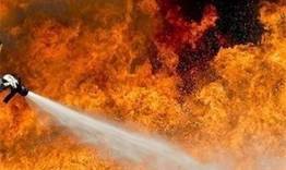 Бърза намеса на пожарникари спаси гори и сгради 