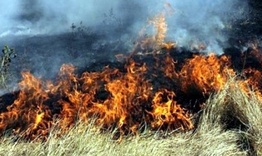 Човешка небрежност причини няколко пожара 