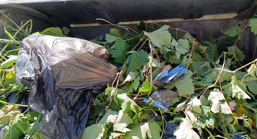 Забранено е изхвърлянето на растителни отпадъци в контейнерите за битови отпадъци