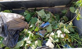 Забранено е изхвърлянето на растителни отпадъци в контейнерите за битови отпадъци