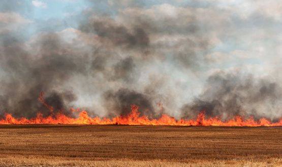 500 декара посеви са спасени от пожар 
