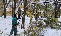 Успокоява се зимната обстановка в община Търговище
