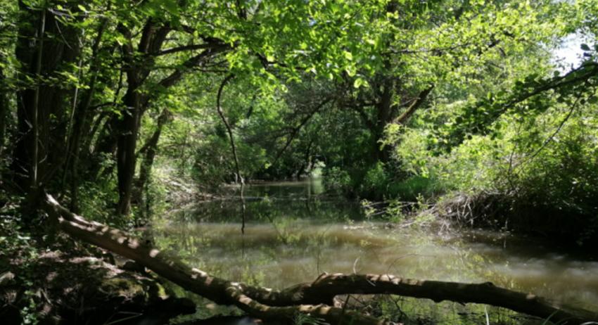 РИОСВ-Шумен и Община Антоново почистиха защитена зона от „Натура 2000“
