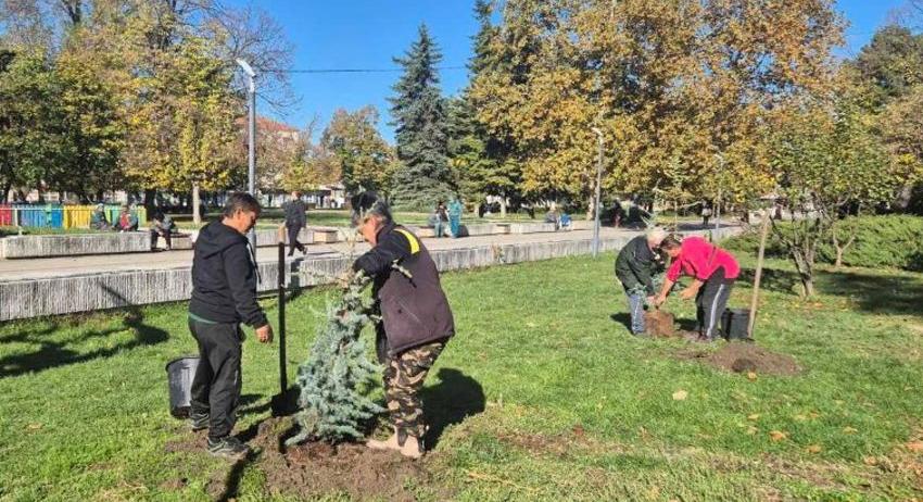 В ход е есенното залесяване в Търговище