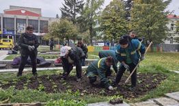 Над 30 000 стръка нови цветя ще красят Търговище