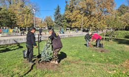 В ход е есенното залесяване в Търговище