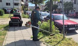 Над 450 дка тревни площи са планирани за косене през май и юни в Търговище