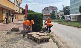 Продължават ремонтите на тротоари в Търговище