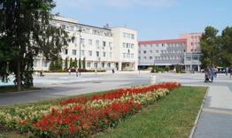 Община Търговище отдава на търг близо 6000 дка пасища, мери и ливади