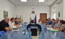Община Търговище настоява ОДБХ да установи статута на обекта в Бистра, в който се отглеждат 73 кучета